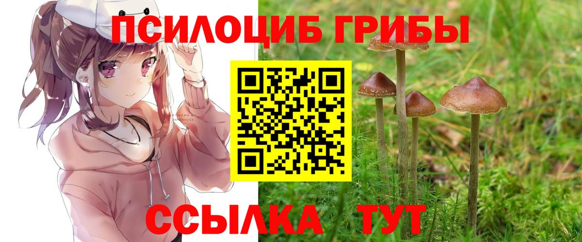 Псилоцибиновые грибы GOLDEN TEACHER Брянск